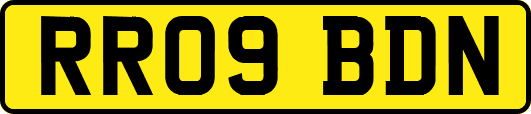 RR09BDN