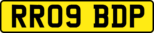 RR09BDP