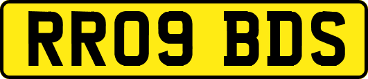 RR09BDS