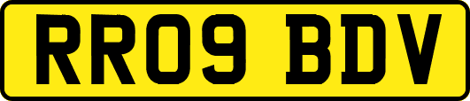 RR09BDV
