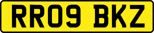 RR09BKZ