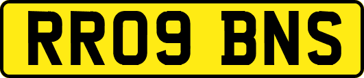 RR09BNS