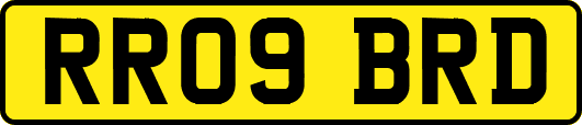 RR09BRD