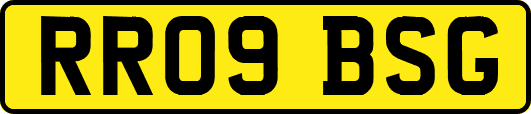 RR09BSG