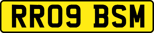 RR09BSM