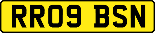 RR09BSN