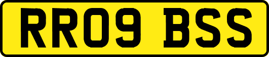 RR09BSS