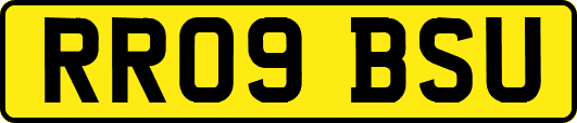 RR09BSU