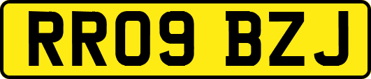 RR09BZJ