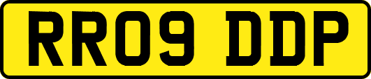 RR09DDP