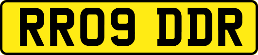 RR09DDR