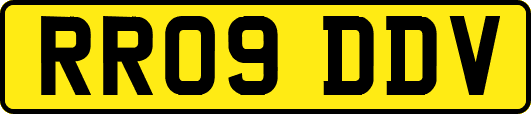 RR09DDV