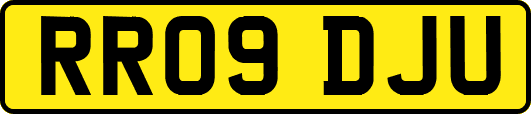 RR09DJU