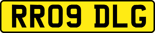 RR09DLG