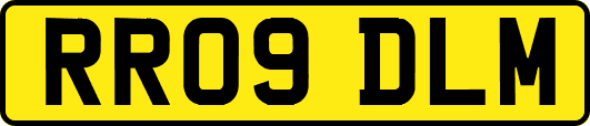 RR09DLM