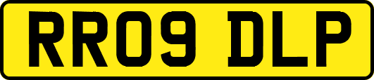 RR09DLP