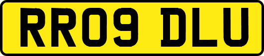 RR09DLU
