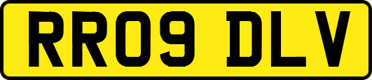RR09DLV