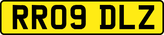 RR09DLZ