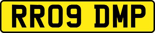RR09DMP