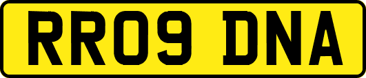 RR09DNA