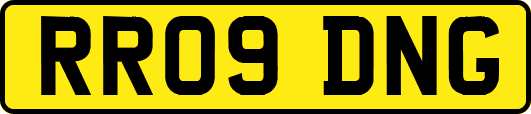 RR09DNG