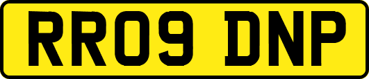 RR09DNP