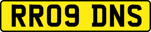 RR09DNS