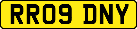 RR09DNY