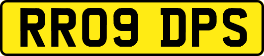 RR09DPS