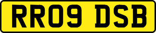 RR09DSB