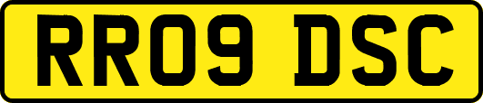RR09DSC