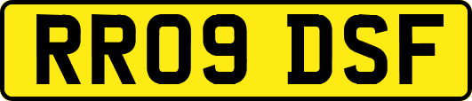 RR09DSF