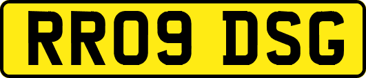 RR09DSG