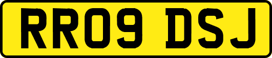 RR09DSJ