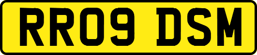 RR09DSM
