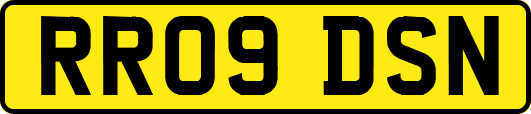RR09DSN