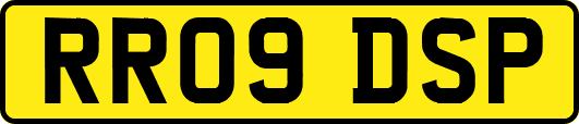 RR09DSP