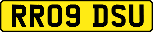 RR09DSU