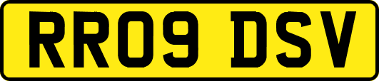 RR09DSV
