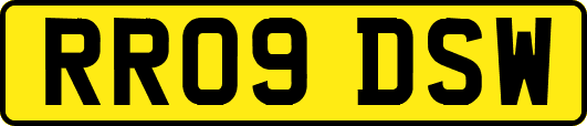 RR09DSW