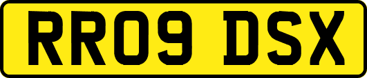 RR09DSX
