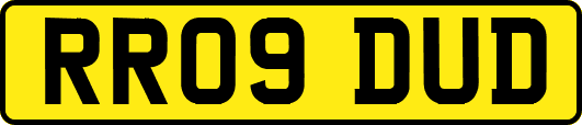 RR09DUD