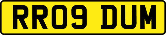 RR09DUM
