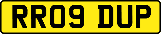 RR09DUP