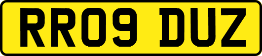 RR09DUZ