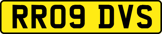 RR09DVS