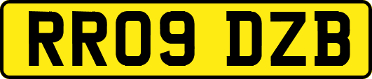 RR09DZB