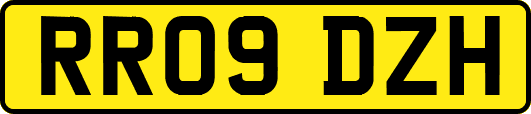 RR09DZH