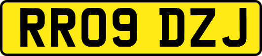 RR09DZJ